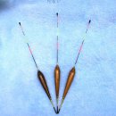 정씨고찌 이미지