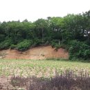 청등농장 이미지