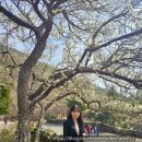 벌교떡방앗간 이미지