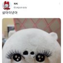 라홍방마라탕 - 시흥시 승지로60번길 28 | 라홍방마라탕