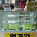 촌빨떡볶이산동점 - 18376 | 촌빨떡볶이산동점