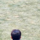 태영금동 이미지