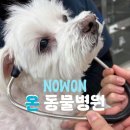 보경동물병원 이미지