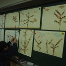 칠서초등학교 이미지