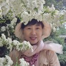 런던 홀란드파크와 다람쥐, 유럽 한국 일본 정원 비교