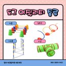 레츠개릿 | 보호자와 교감하는 독스포츠, 강아지 어질리티 종류 장점