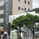 덕천동물의료센터 네이버블로그