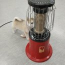 댕댕이꺼 이미지