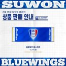 미르여행사 - 동구 매봉로 18 | 수원삼성 vs 전남 용인미르스타디움 직관 후기(용인시청 주차, 셔틀버스)