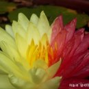 연리지 - 군포시 당정역로4번길 11 | 연리지