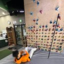 서구-01-44 | 인천 디스커버리클라이밍ㅣ겨울 실내운동 추천 인천클라이밍