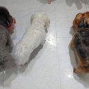 카페휴개 이미지