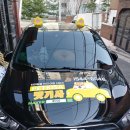 로이펫택시 이미지