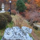 모아드림공인중개사 이미지