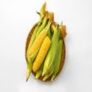 초당에너지 이미지