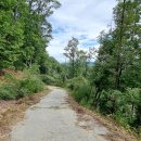 치악산둘레길 6코스 매봉산자락길 이미지