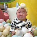 아기랑 갈만한곳 노원 마마스힐링 베이비카페 내돈내산 이용후기