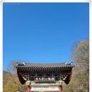 금당중학교 | 산행중 들러본 사찰과 관광지