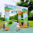 제주커스텀마켓 | '숲으로오라' 축제! 5살 아이랑 다녀온 생생한 체험 꿀팁 및 주차 정보
