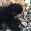 소리민박 이미지