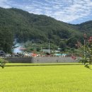 플로라 캠프 이미지