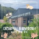 7239 | 대전광역시 동물보호센터 유기견 봉사 후기
