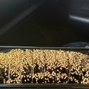 섬섬김밥