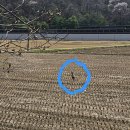 평화누리7코스자전거쉼터 | [파주에서 연천] DMZ평화의길 10코스~11코스