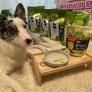 밥이보약 &#39;튼튼한관절 8주차&#39; 찐 후기