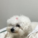띵커바웃츄 | 2025, August eNd