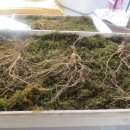 은님농장 이미지