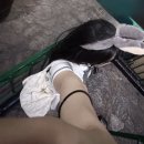 화요일 평일의 잠실 롯데월드 (feat. 매직패스 사랑해요)