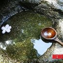 동산샘터 이미지