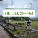 서산에서 일주일 살아보기 1일차, 해미읍성 맛집 코스 정복! 왕꽈배기부터 호떡까지
