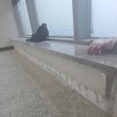 의정부 민락 호반아파트 상가 학원 합지도배 시공 후기｜가벽 철거 후 벽면 평탄화부터 곰팡이 클린까지