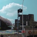 서영대학교 이미지