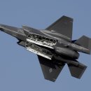 포르투갈 F-35 전투기 구매 포기…“트럼프 정부 신뢰 못 해” 이미지