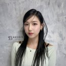 브로시스 이미지