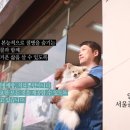 수동물병원 이미지