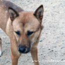 (주)림스 이미지