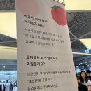 (주)세계로물산 | 홍대 팝업 토마토 물산전 방문후기토마토러버들을 위한 토마토 세계