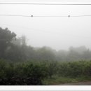 제주하늘지기 이미지