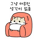 코코숲 이미지