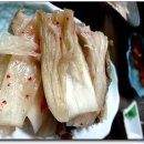 감포참가자미 이미지