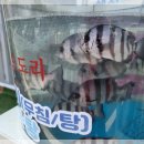 나연회식당 이미지