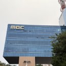 멍냥 | 청주에서 즐기는 반려동물 셀프스튜디오, &#39;멍냥사진관 팝업&#39; 후기