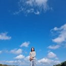 황혼농장 | 제주도 - 사려니숲과 돌문화공원