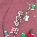 자연동화유치원 이미지