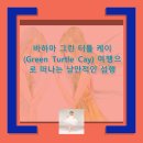 그린터틀 이미지