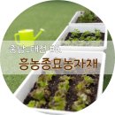 흥농종묘농약 이미지